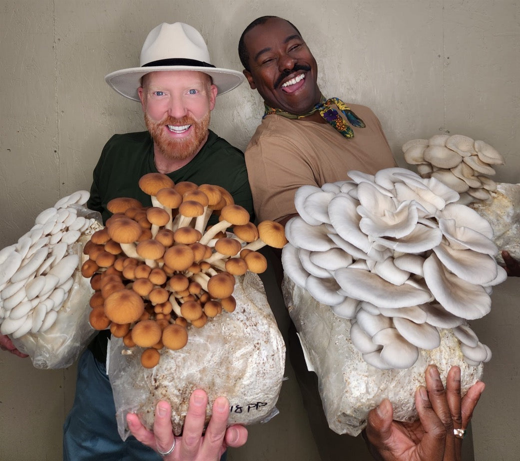 Ted Gibson and partner with mushrooms
